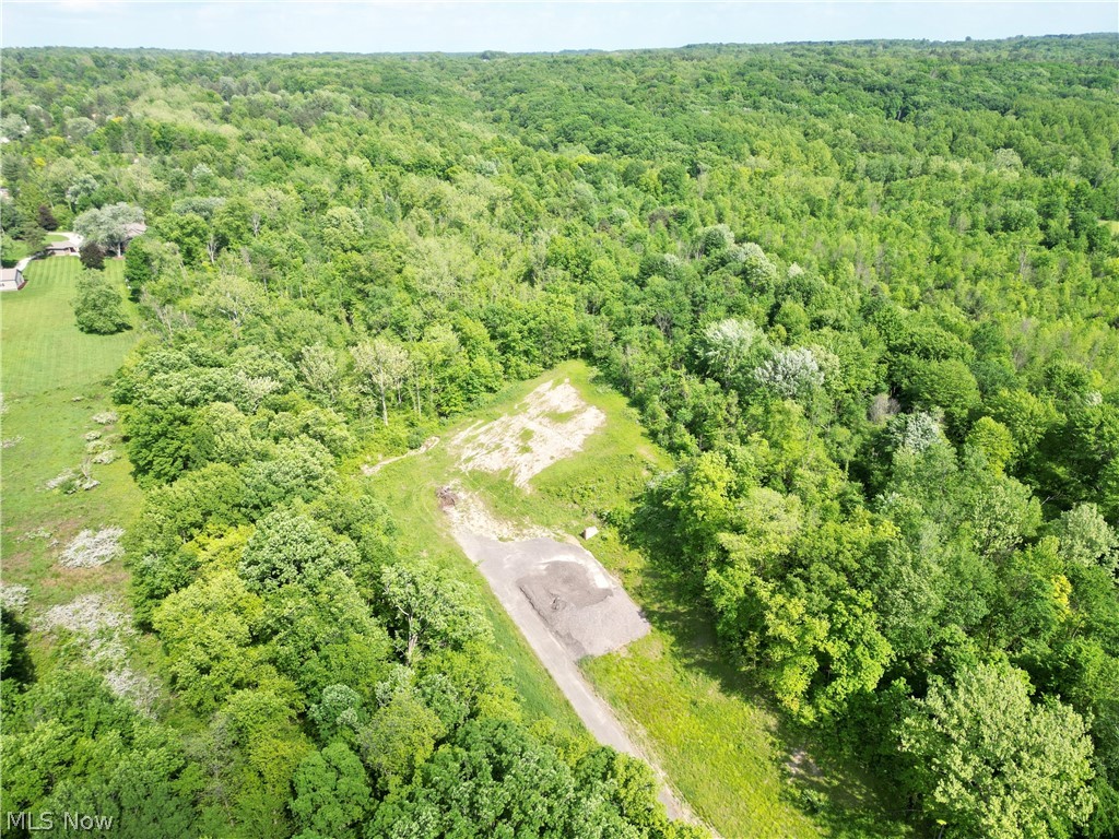 Vl Ridge Road North Royalton, OH 44133 - Photo 12 of 17 View of bird's eye view