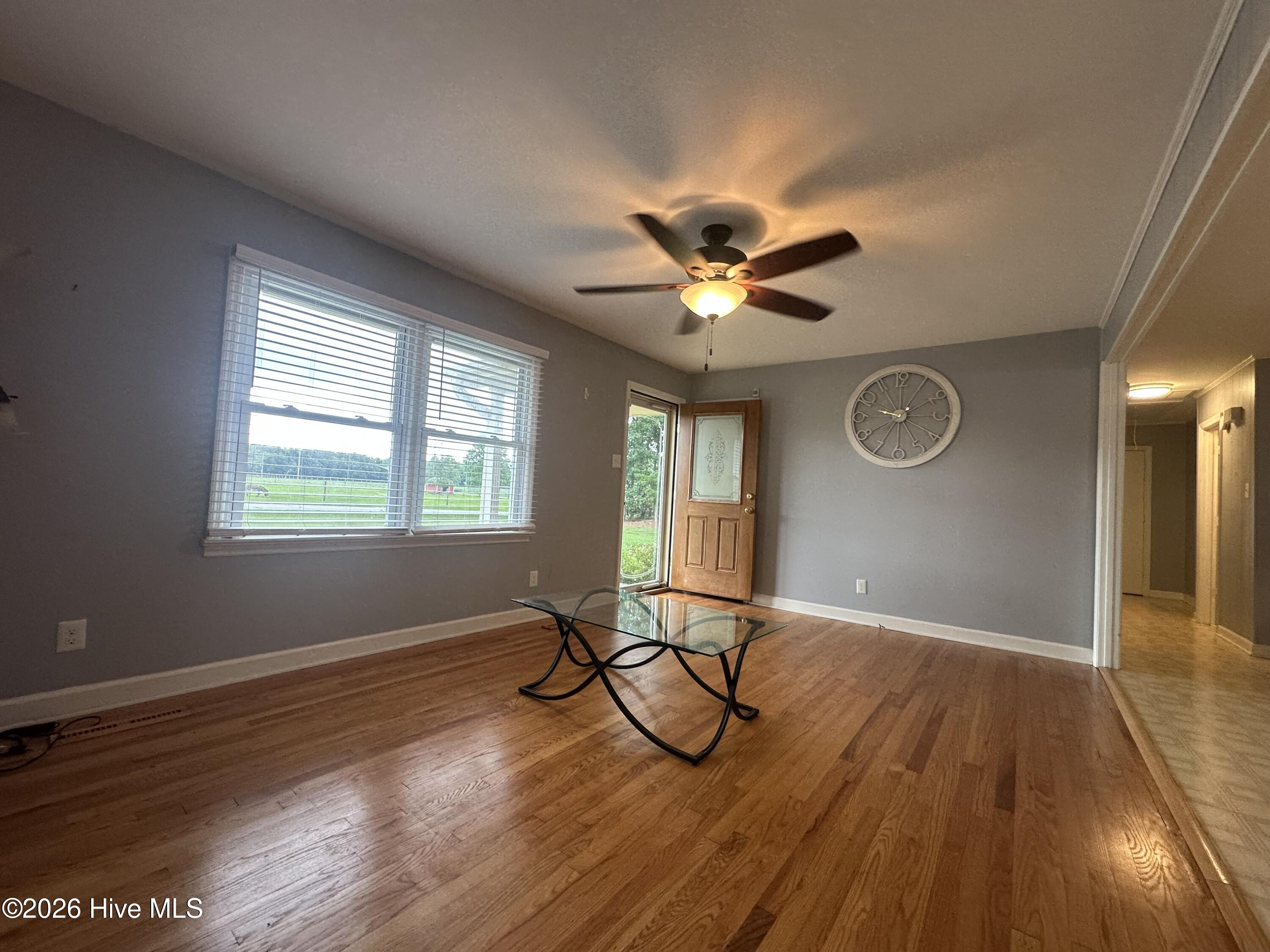 346 Doolittle Mill Road Conway, NC 27820 - Photo 16 of 39