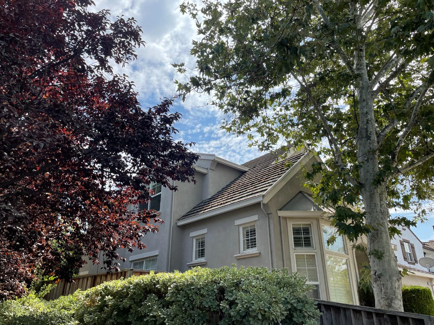 3970 Louvre Avenue San Jose, CA 95135 - Photo 2 of 5 a house that has a tree in front of it