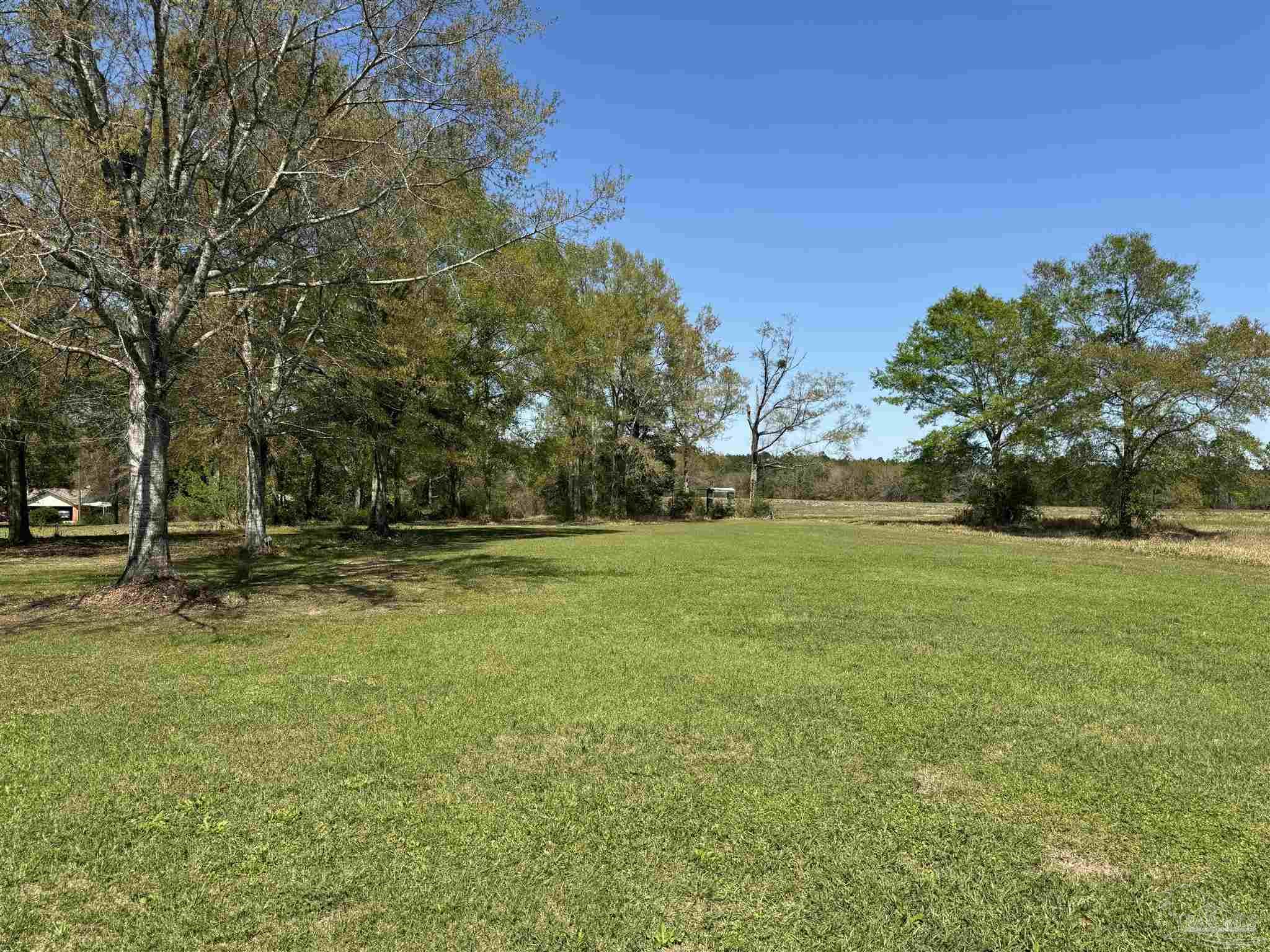 1124 Jacks Branch Road Cantonment, FL 32533 - Photo 4 of 28