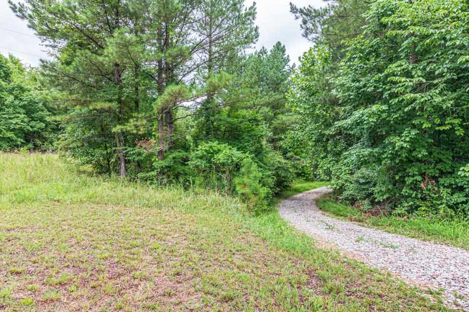 550 Carlins Road Hornsby, TN 38044 - Photo 6 of 25 Gallery Image 6