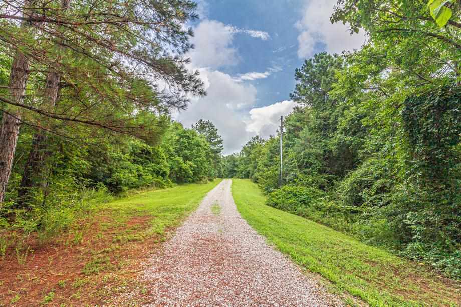 550 Carlins Road Hornsby, TN 38044 - Photo 7 of 25 Gallery Image 7