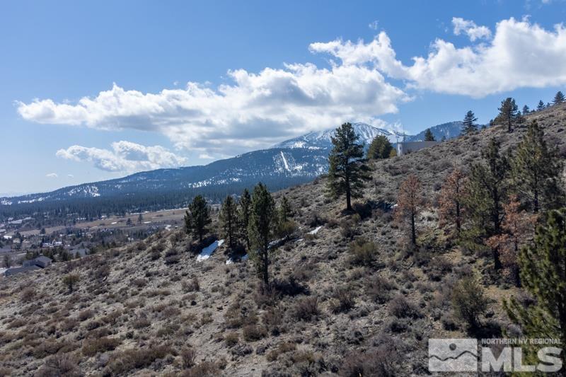15775 North Timberline Drive Reno, NV 89511 - Photo 9 of 10 Photo 9