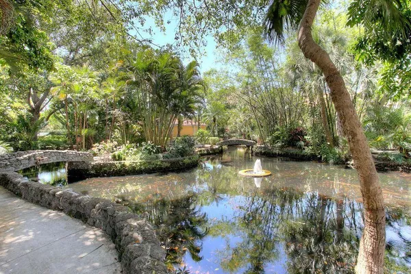 a view of lake background