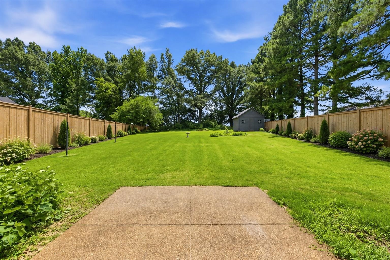 171 Brierhedge Road Covington, TN 38019 - Photo 37 of 39 Expansive backyard featuring a lush lawn, a detached storage shed, and mature perimeter trees. This image has been virtually staged.
