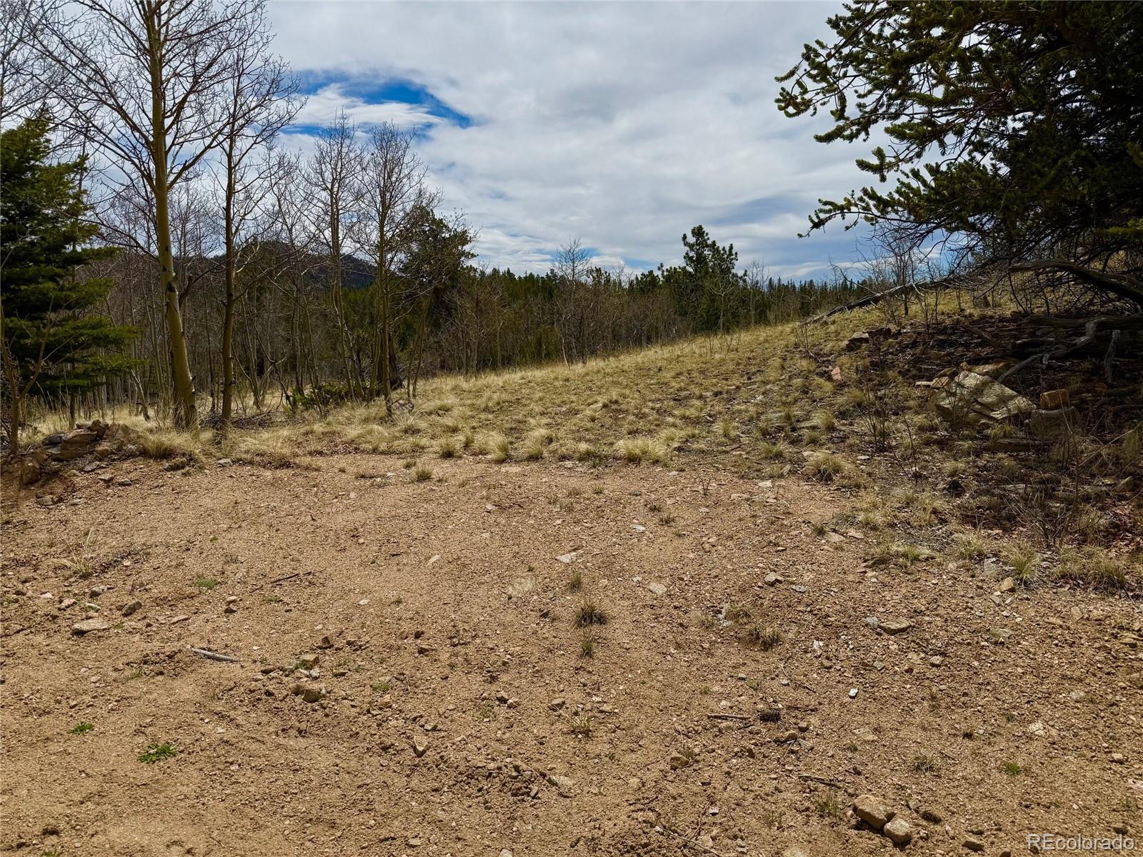 735 Quiver Road Jefferson, CO 80456 - Photo 16 of 32