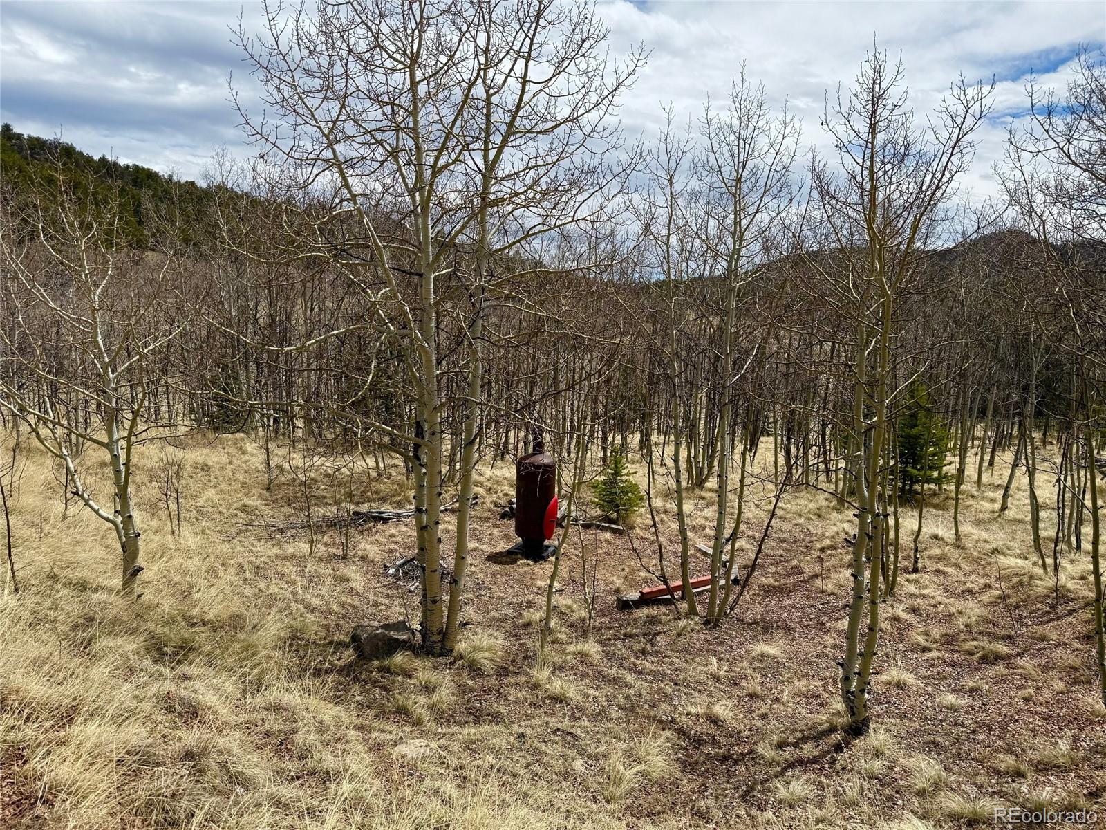 735 Quiver Road Jefferson, CO 80456 - Photo 18 of 32