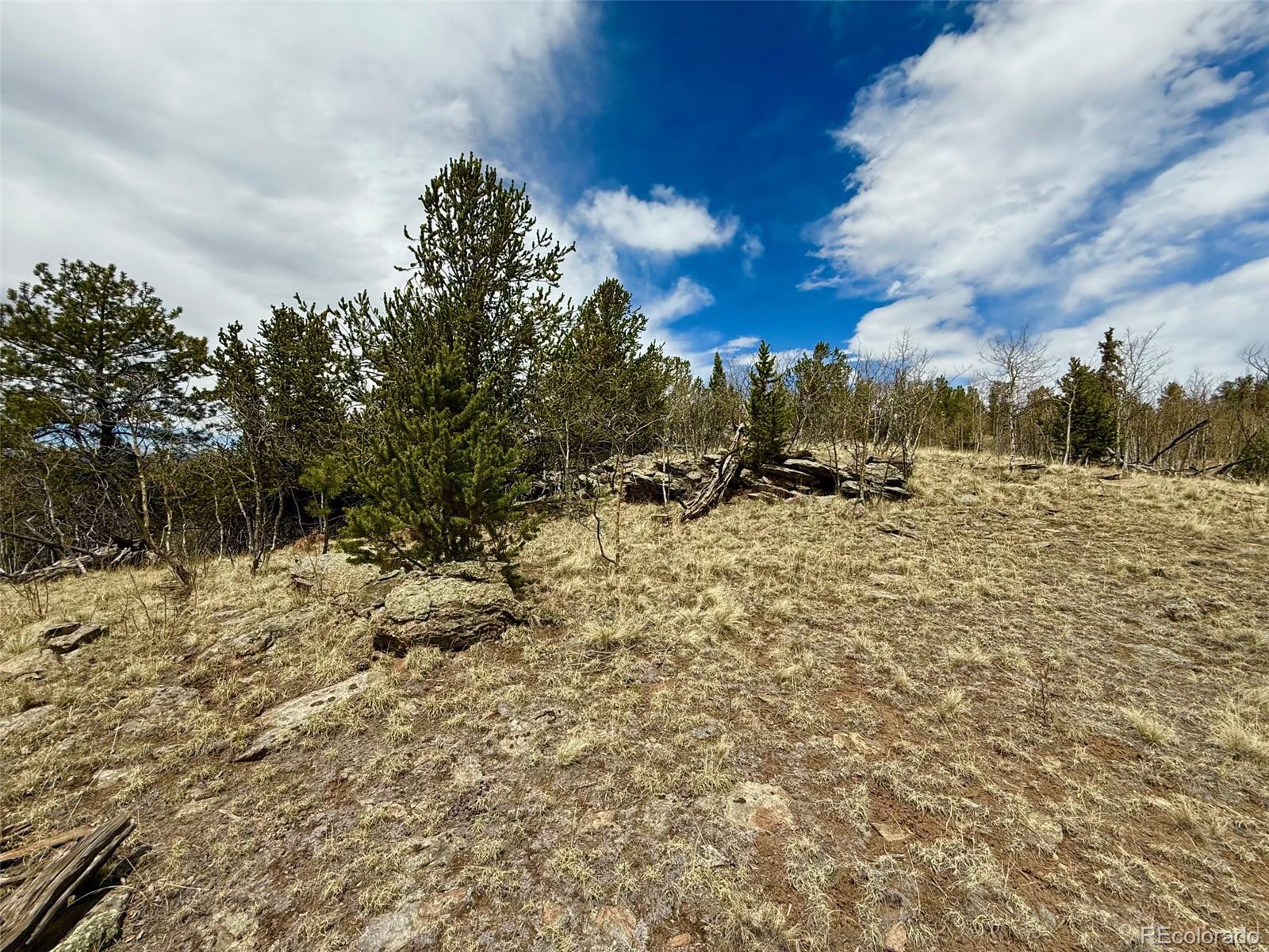 735 Quiver Road Jefferson, CO 80456 - Photo 24 of 32