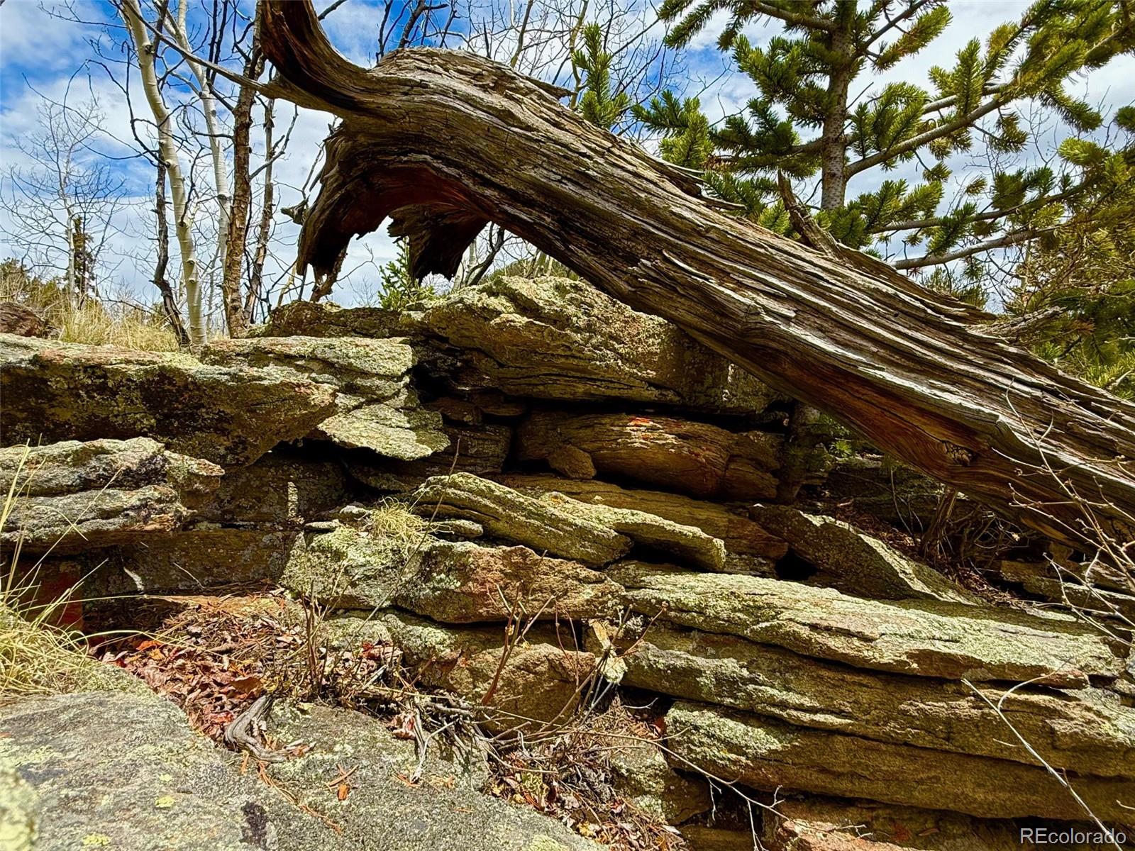 735 Quiver Road Jefferson, CO 80456 - Photo 28 of 32