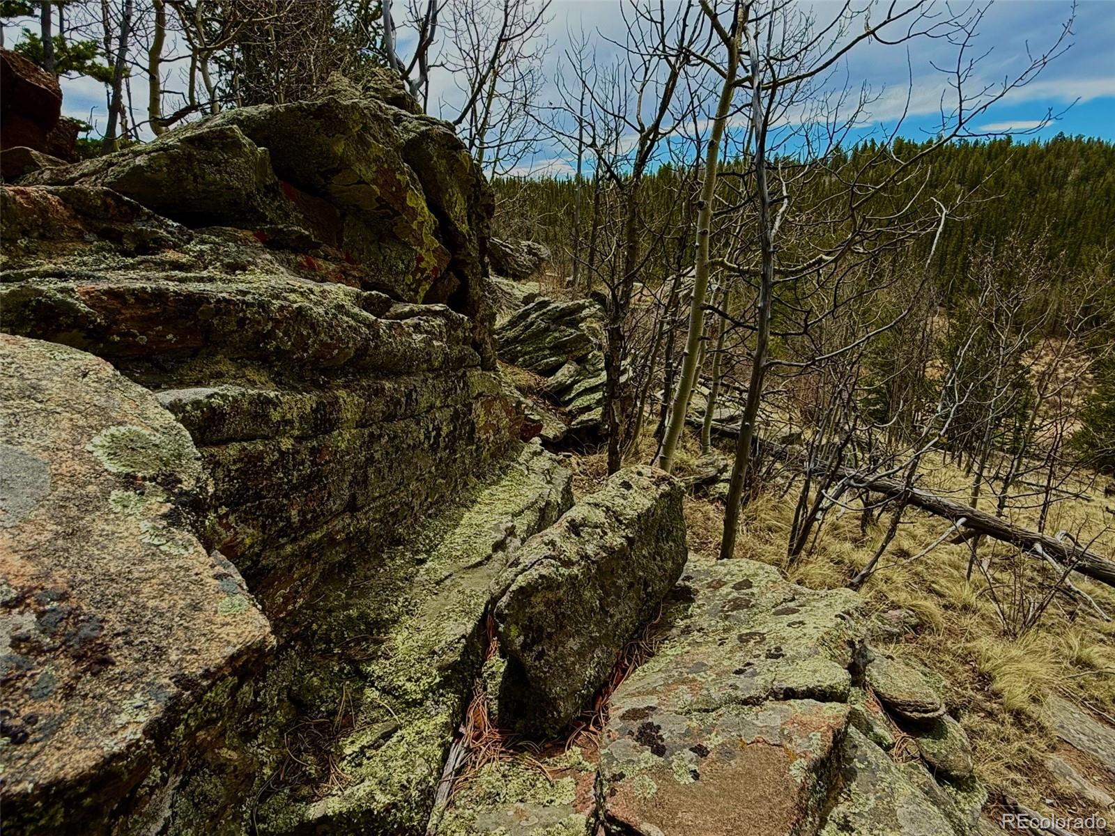735 Quiver Road Jefferson, CO 80456 - Photo 30 of 32