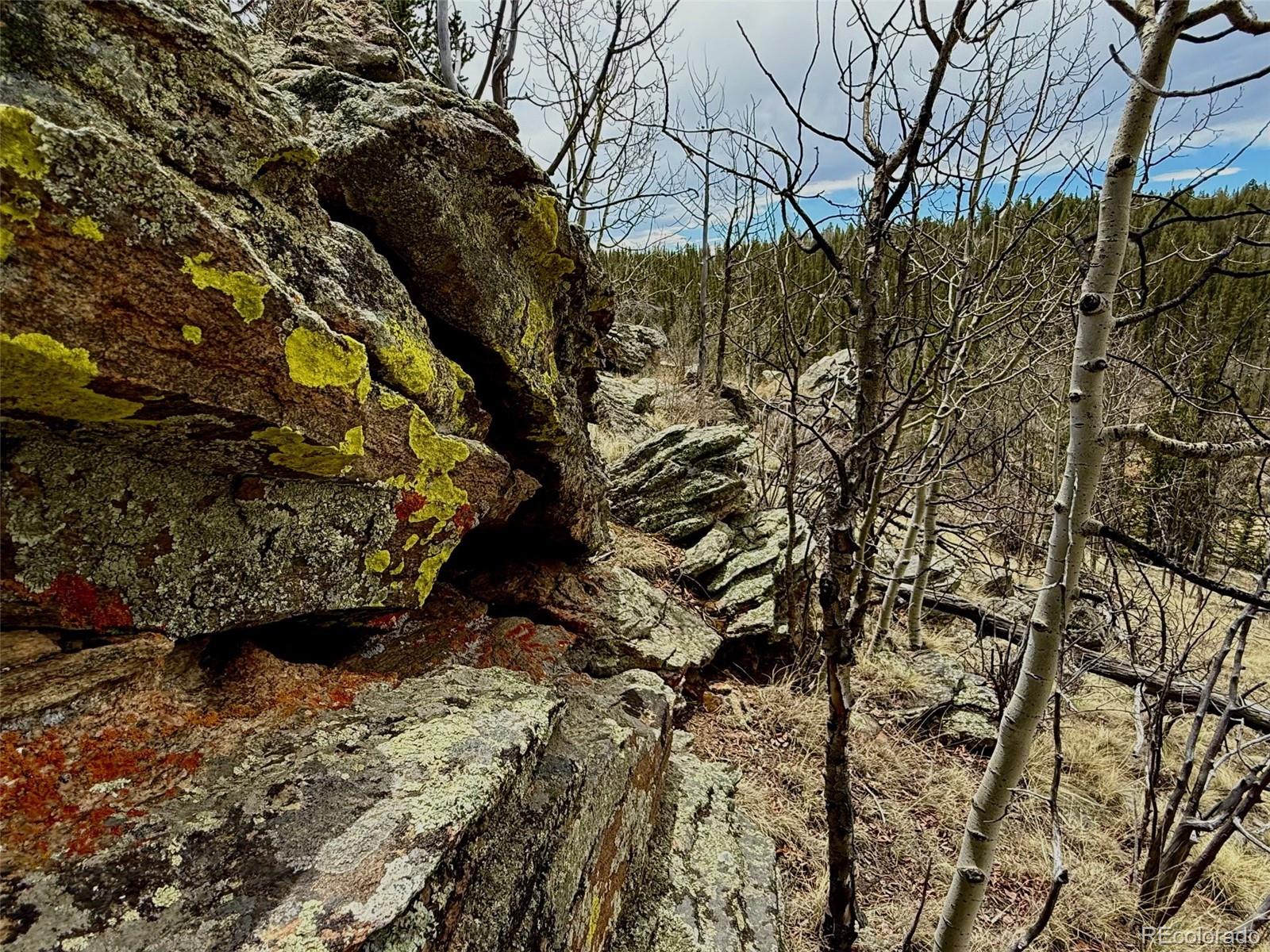 735 Quiver Road Jefferson, CO 80456 - Photo 31 of 32