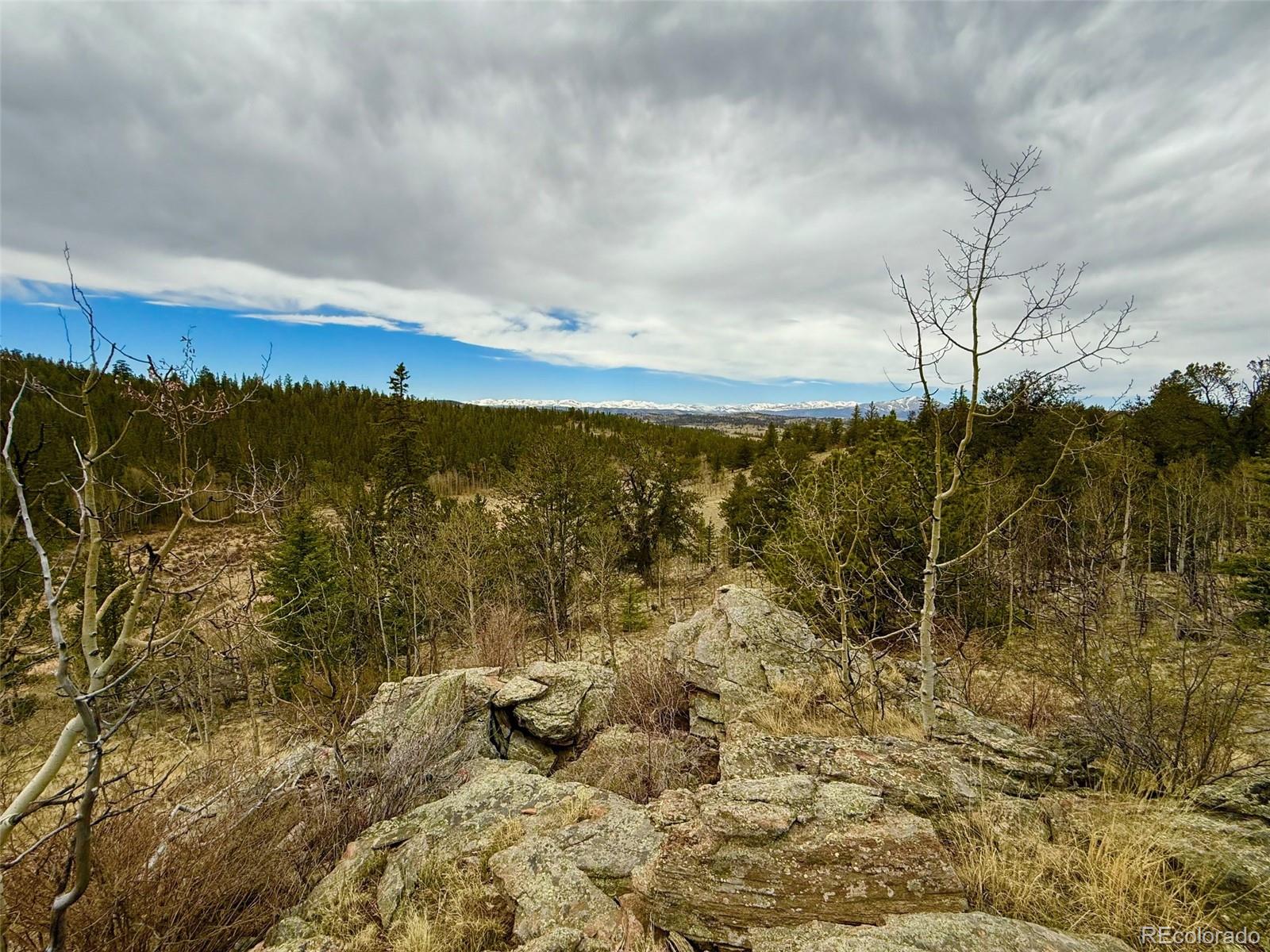 735 Quiver Road Jefferson, CO 80456 - Photo 32 of 32