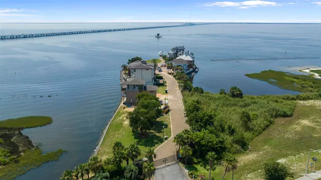 a close up of a flower in a garden