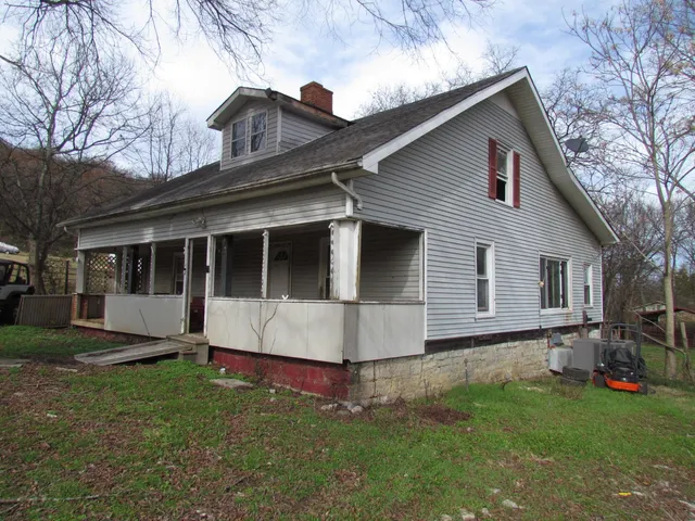 a backyard of a house with plants and large tree