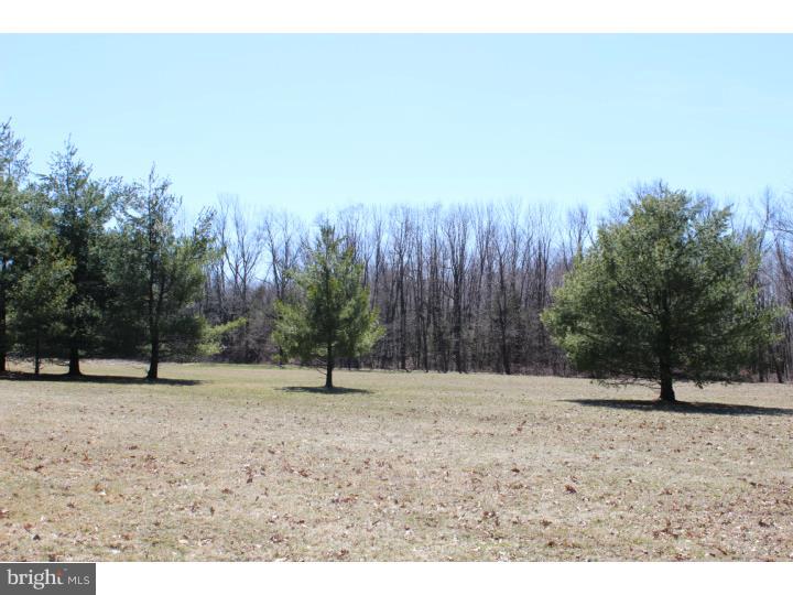 0 Old Plains Road Pennsburg, PA 18073 - Photo 4 of 4