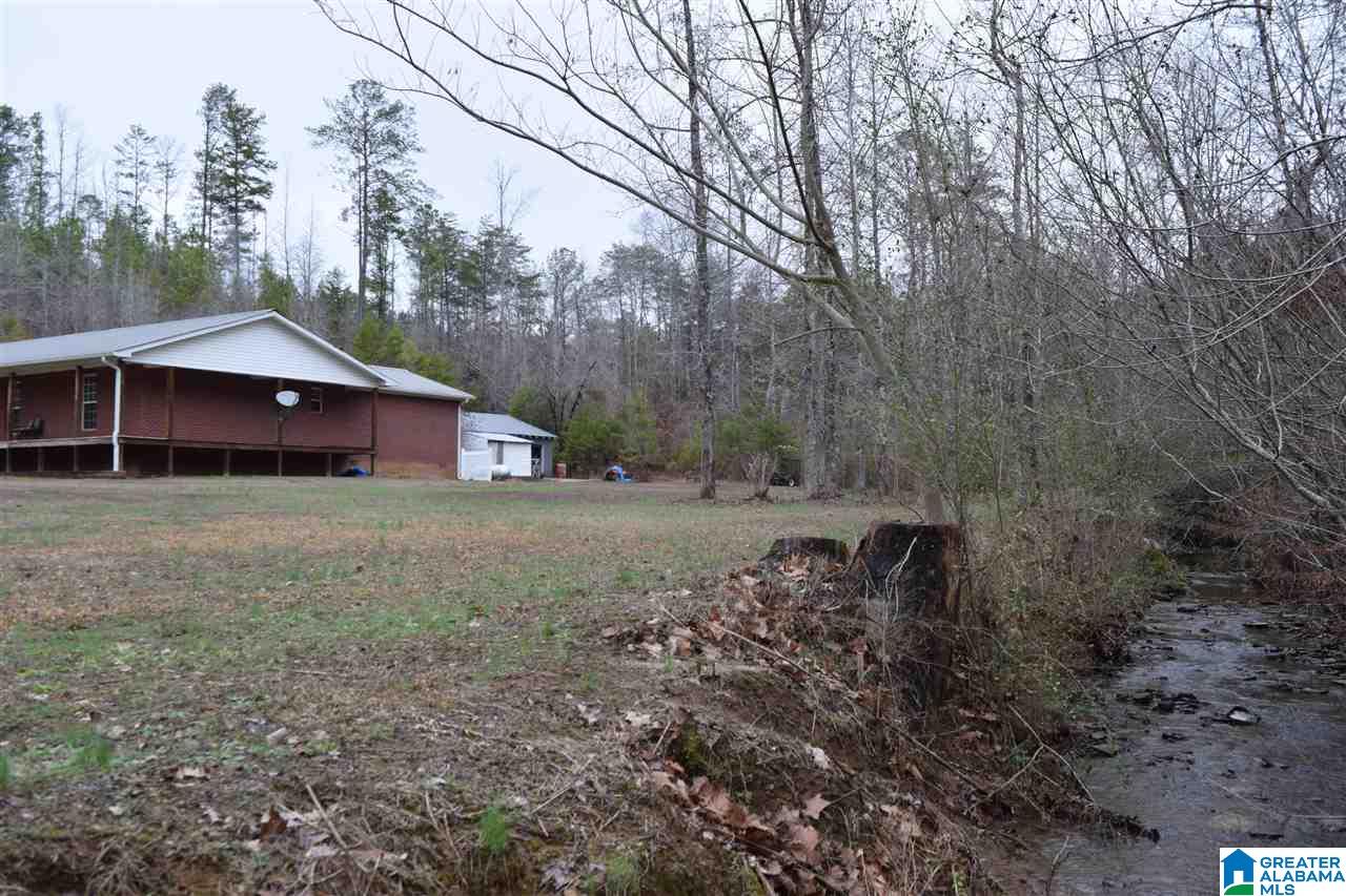 261 Overcreek Road Warrior, AL 35180 - Photo 8 of 49