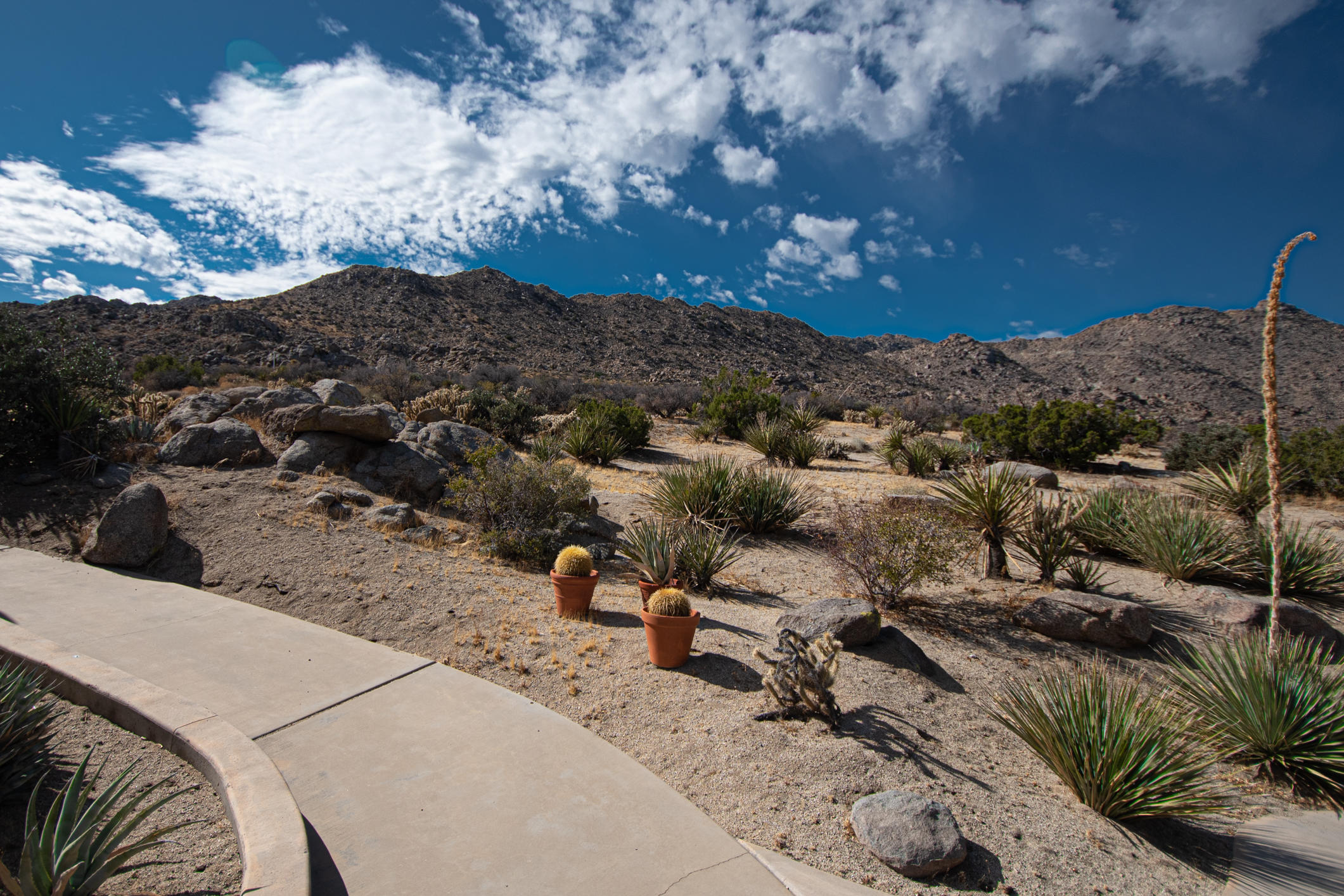 71125 Star Shadow Road Mountain Center, CA 92561 - Photo 25 of 49 DTM_0835