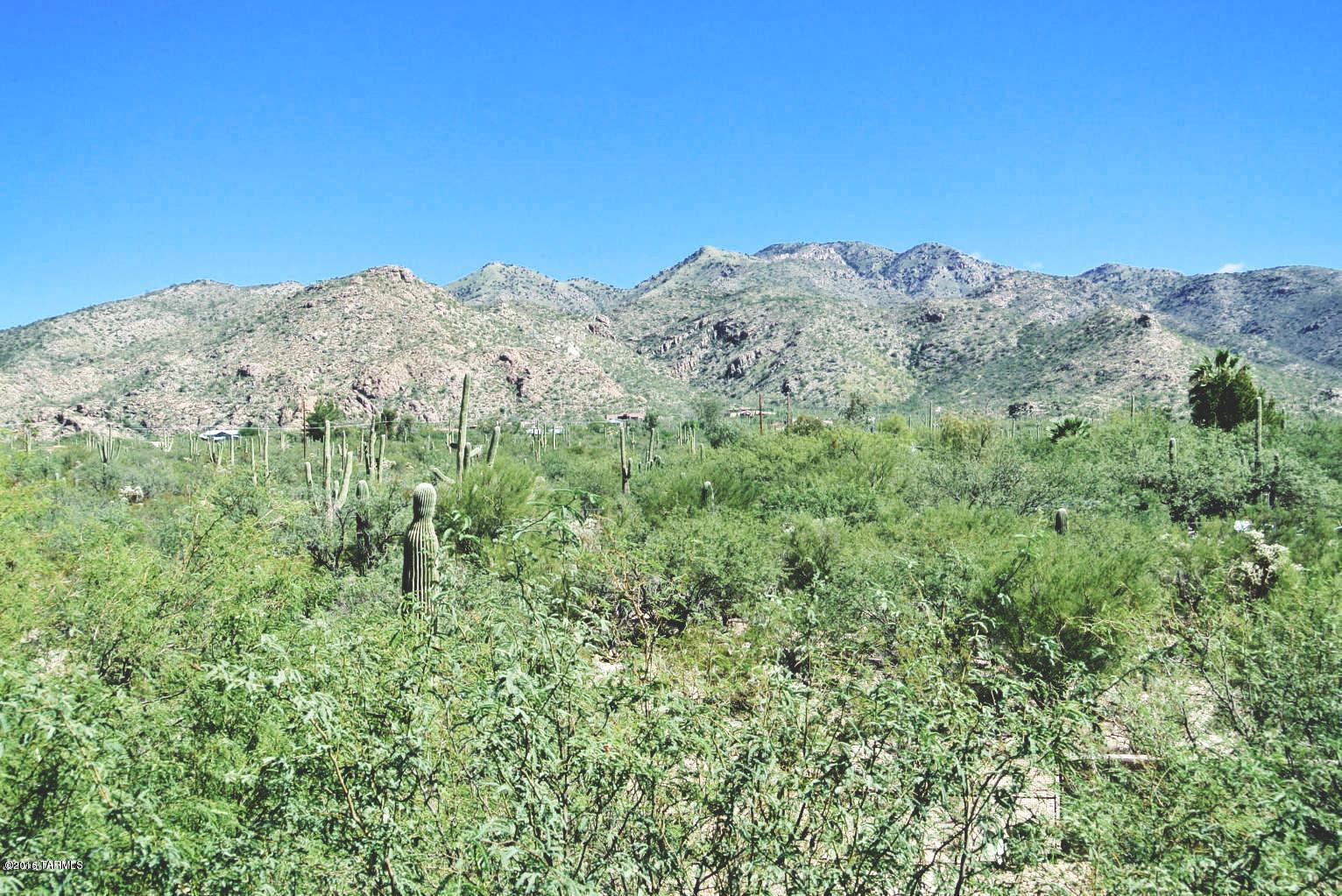 12356 East Prince Road, Unit 1 Tucson, AZ 85749 - Photo 6 of 7