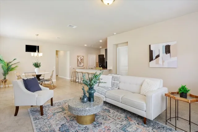 a living room with furniture a rug and a potted plant