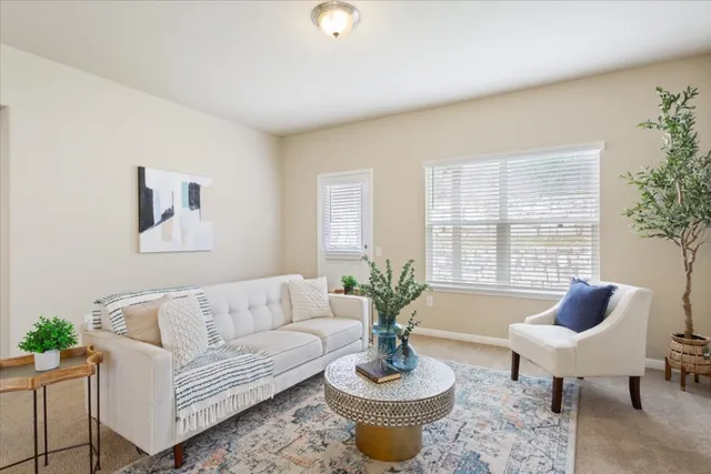 a living room with furniture potted plant and a large window