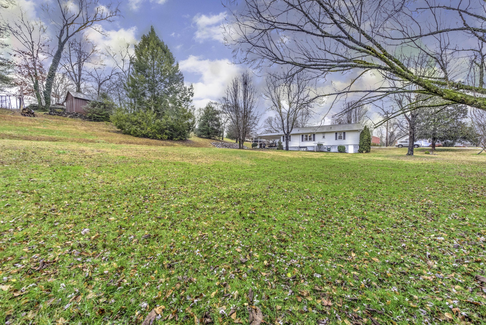 112 South Seneca Road Oak Ridge, TN 37830 - Photo 20 of 20 a view of yard with large trees