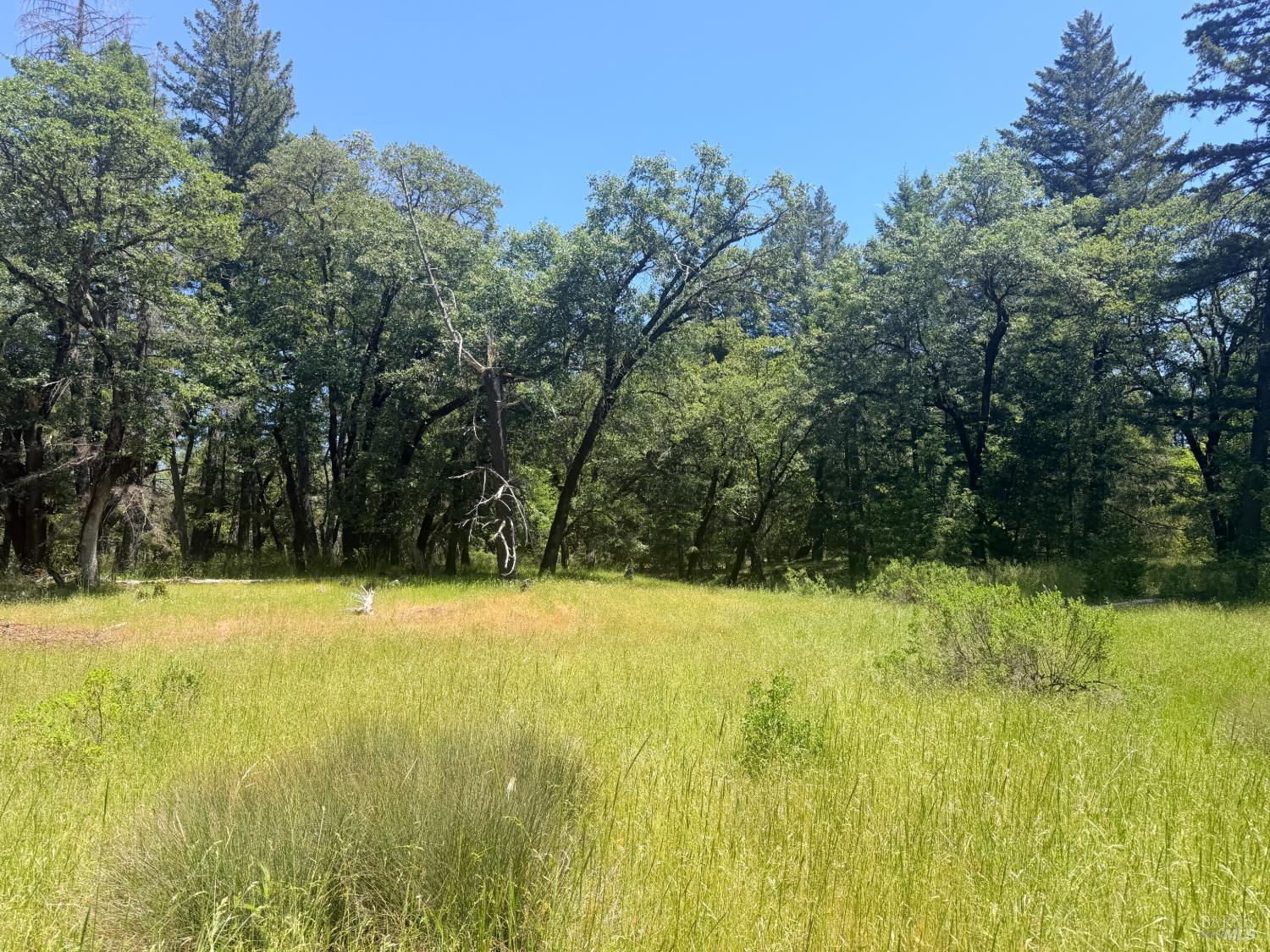 0 Registered Guest Road Laytonville, CA 95454 - Photo 17 of 18