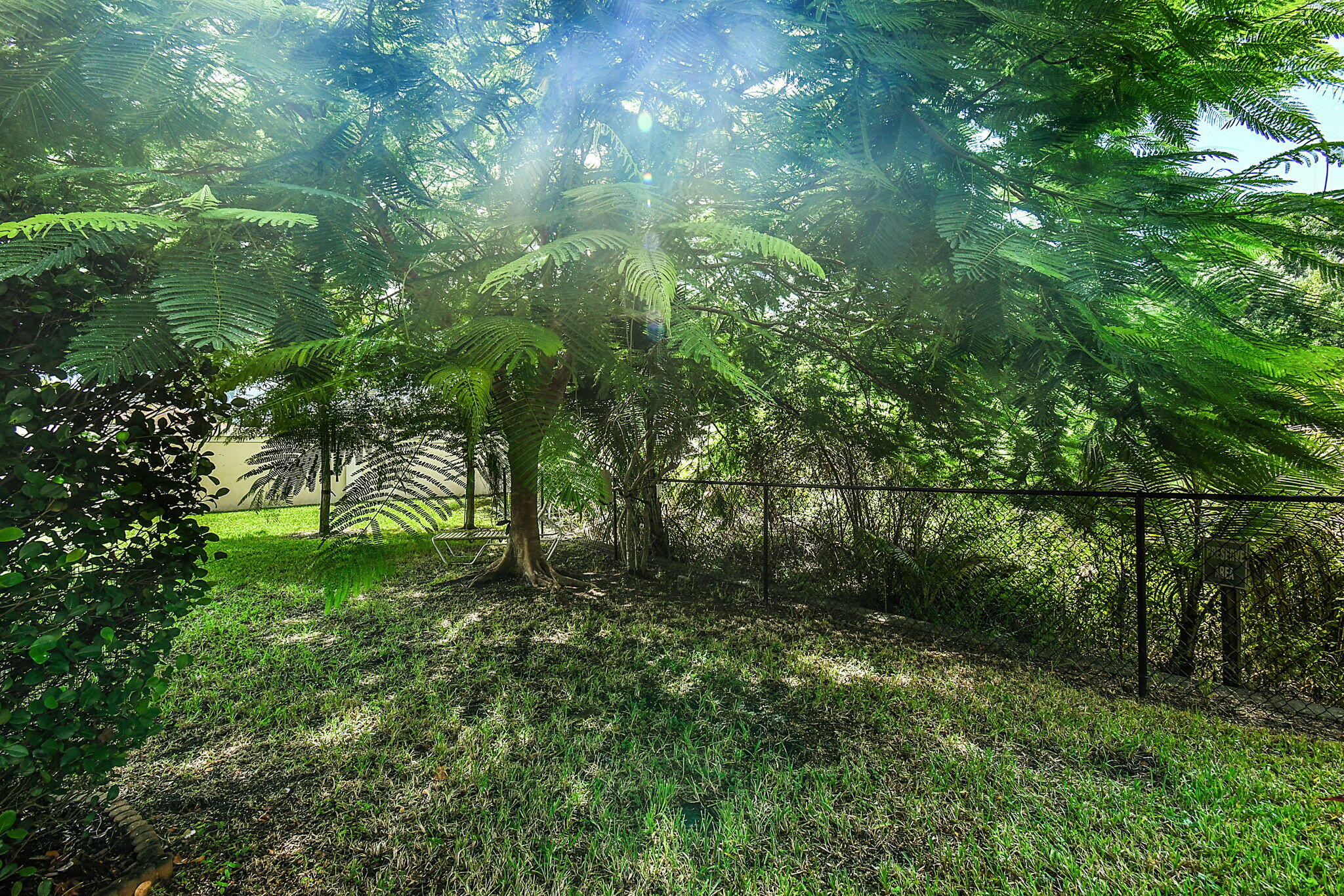 254 Southwest Walking Path Stuart, FL 34997 - Photo 28 of 31 a view of a lush green forest