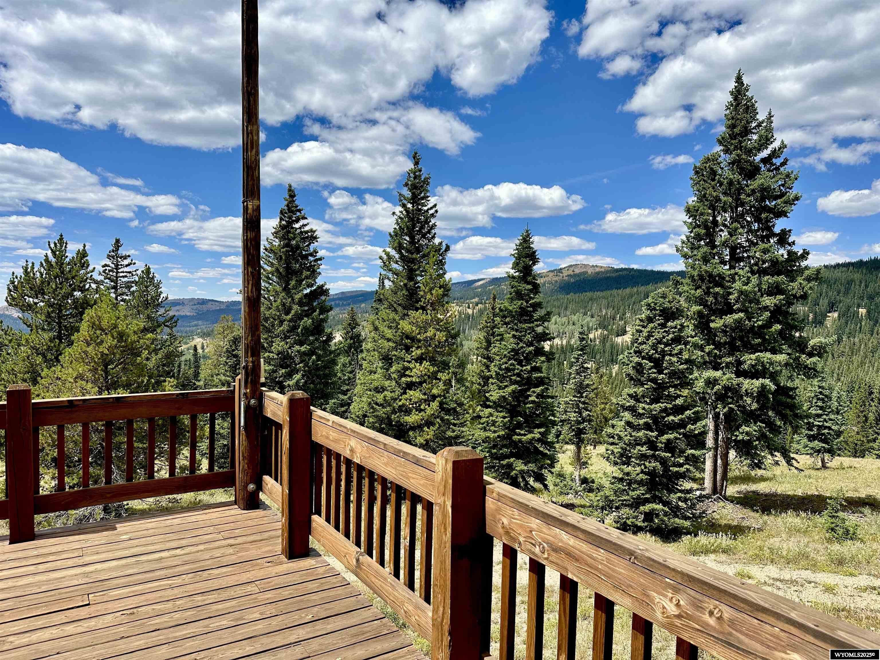 70 Ms208 Highway Encampment, WY 82325 - Photo 6 of 41