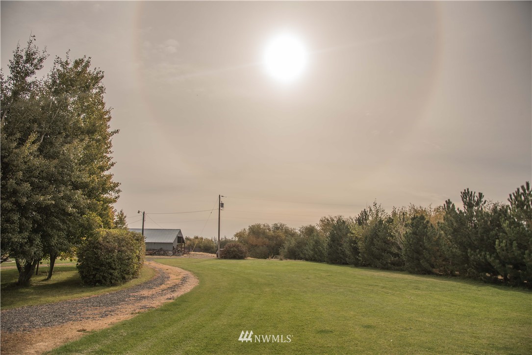 2231 Thorp Cemetery Road Thorp, WA 98946 - Photo 18 of 25 Gallery Image 18
