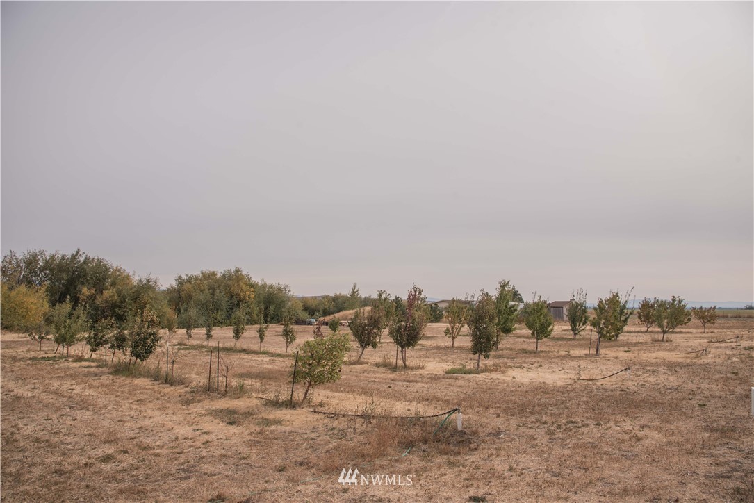 2231 Thorp Cemetery Road Thorp, WA 98946 - Photo 24 of 25 Gallery Image 24