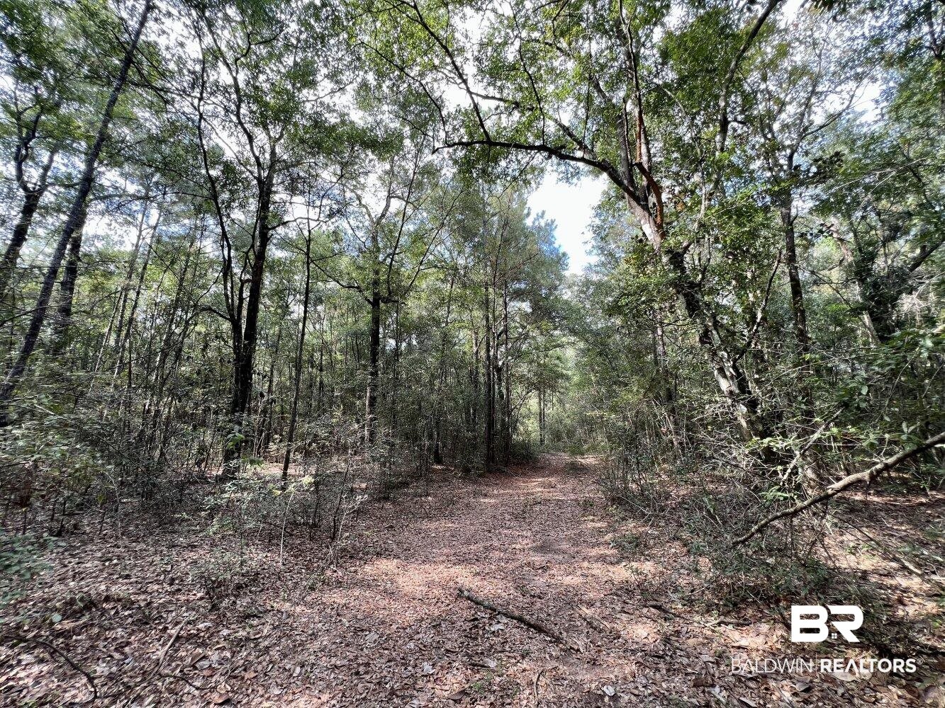 0 Bear Fork Road Mobile, AL 36618 - Photo 28 of 50