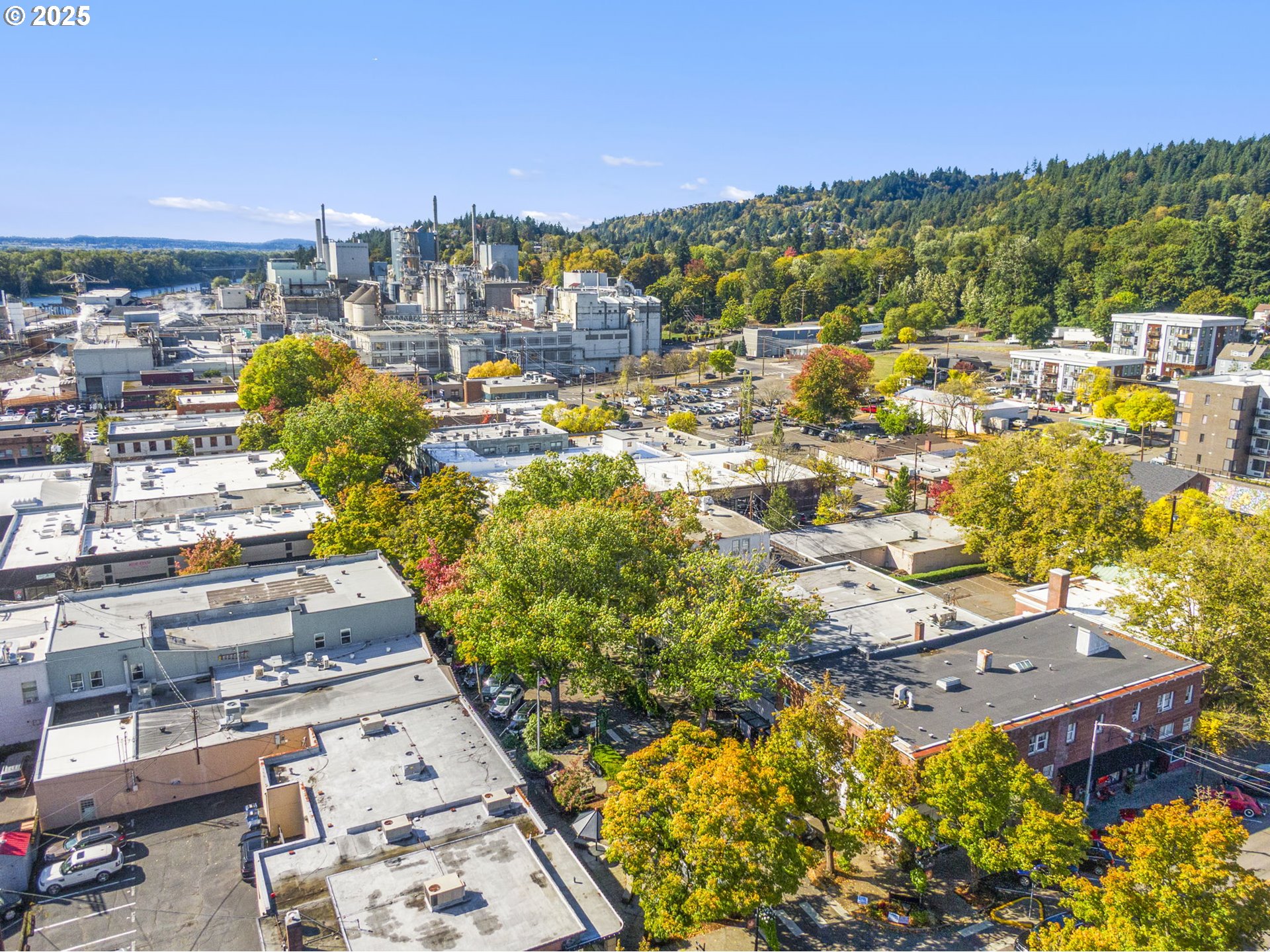 719 Northeast Dallas Street Camas, WA 98607 - Photo 36 of 47