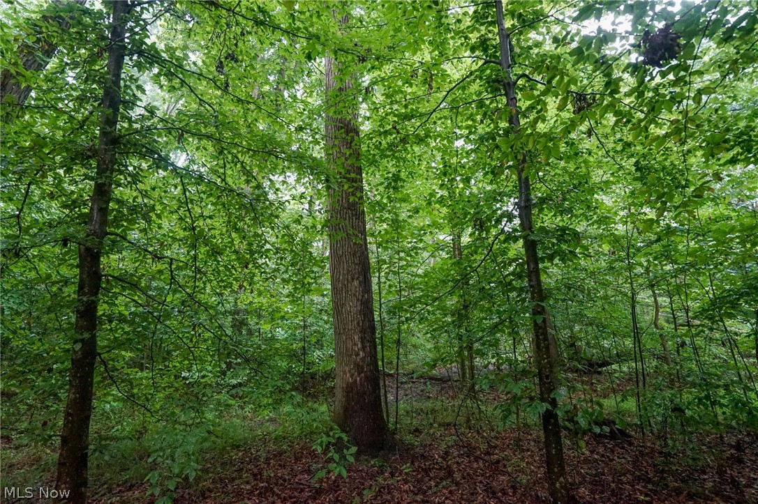 Duncanson Road Sardinia, OH 45171 - Photo 23 of 50 Gallery Image 23