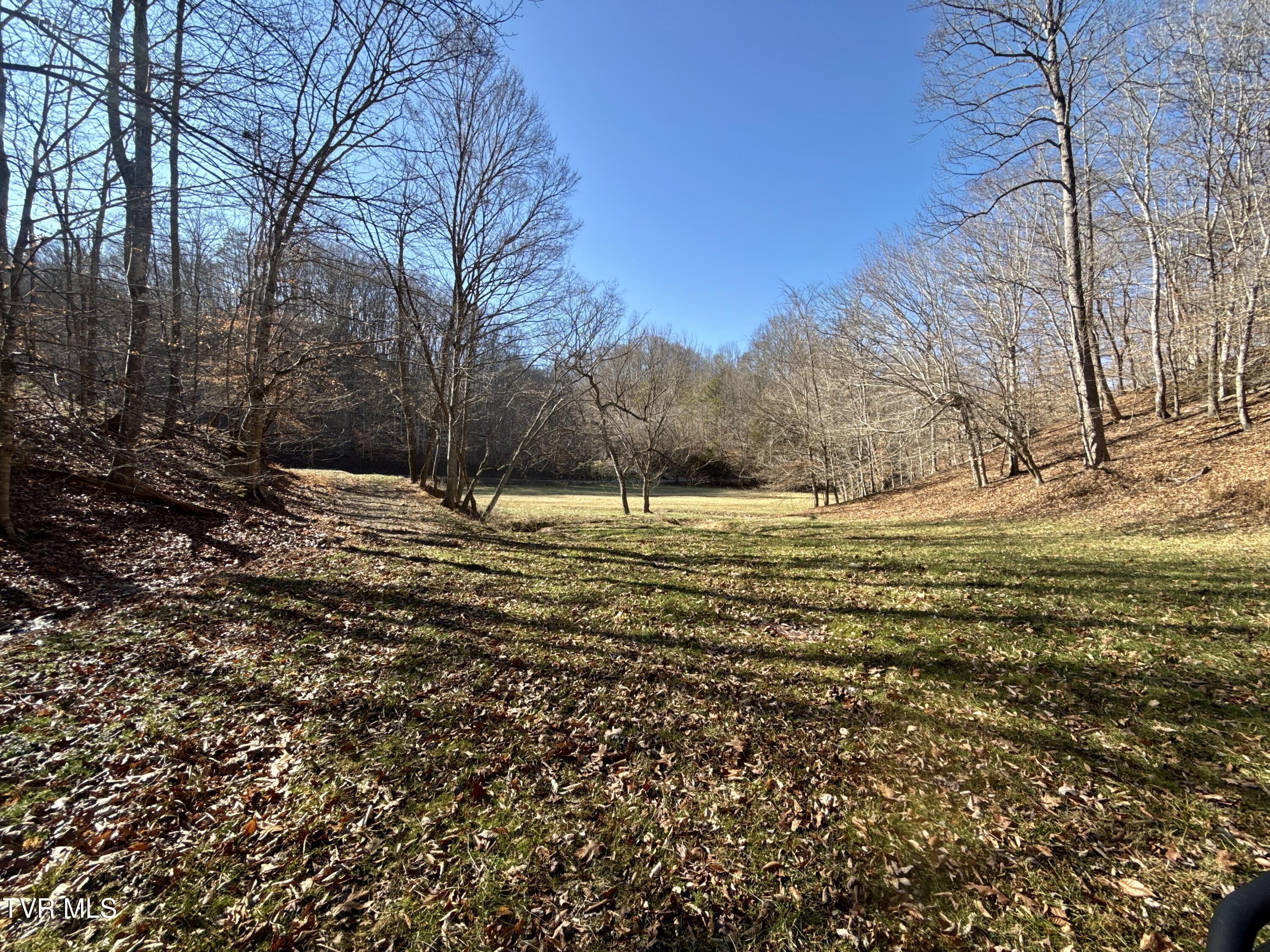 219 Ridge Road Eidson, TN 37731 - Photo 66 of 72 _Pic57 (13)