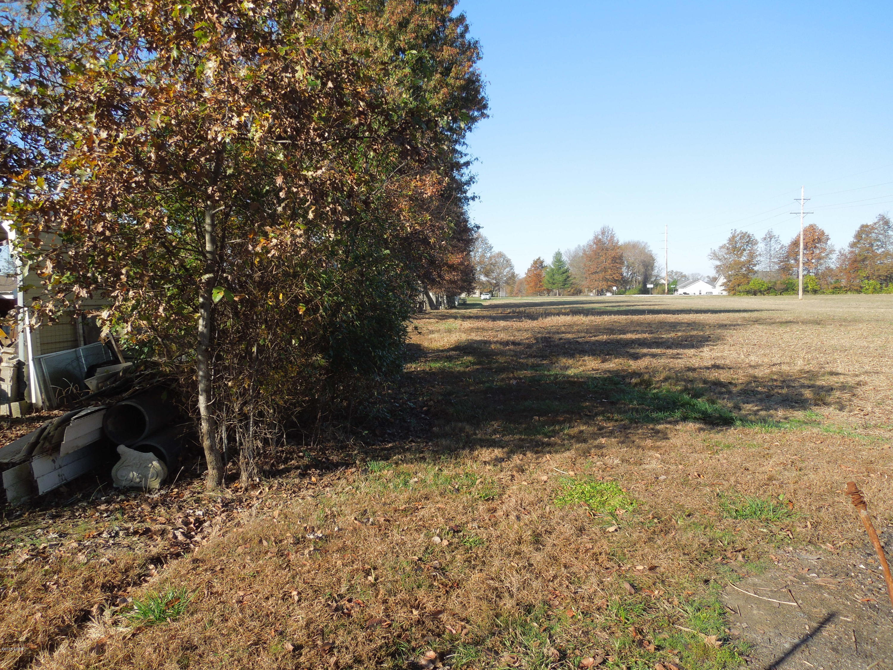 Tbd Strawberry Road Carbondale, IL 62901 - Photo 2 of 7