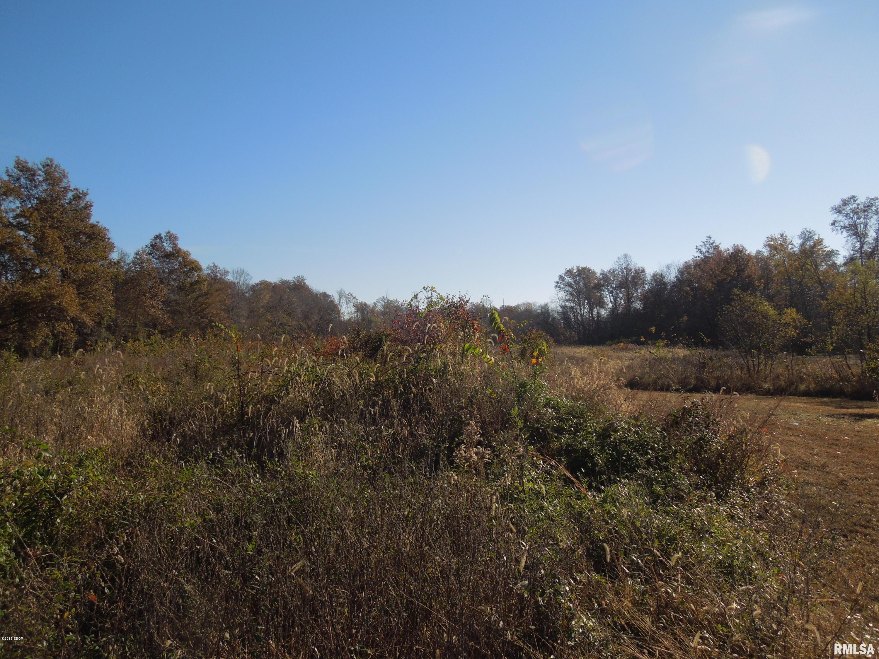 Tbd Strawberry Road Carbondale, IL 62901 - Photo 4 of 7