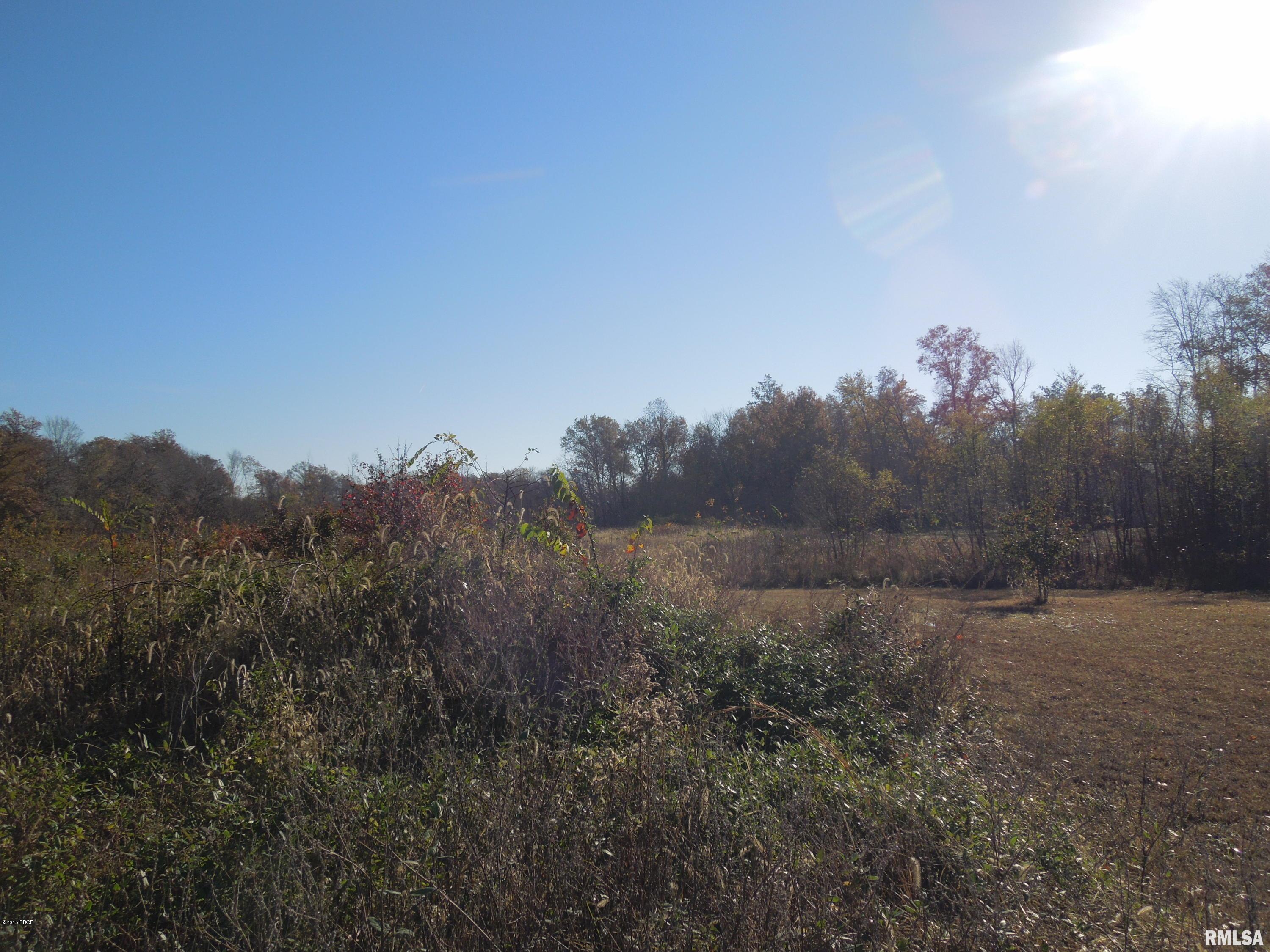 Tbd Strawberry Road Carbondale, IL 62901 - Photo 5 of 7