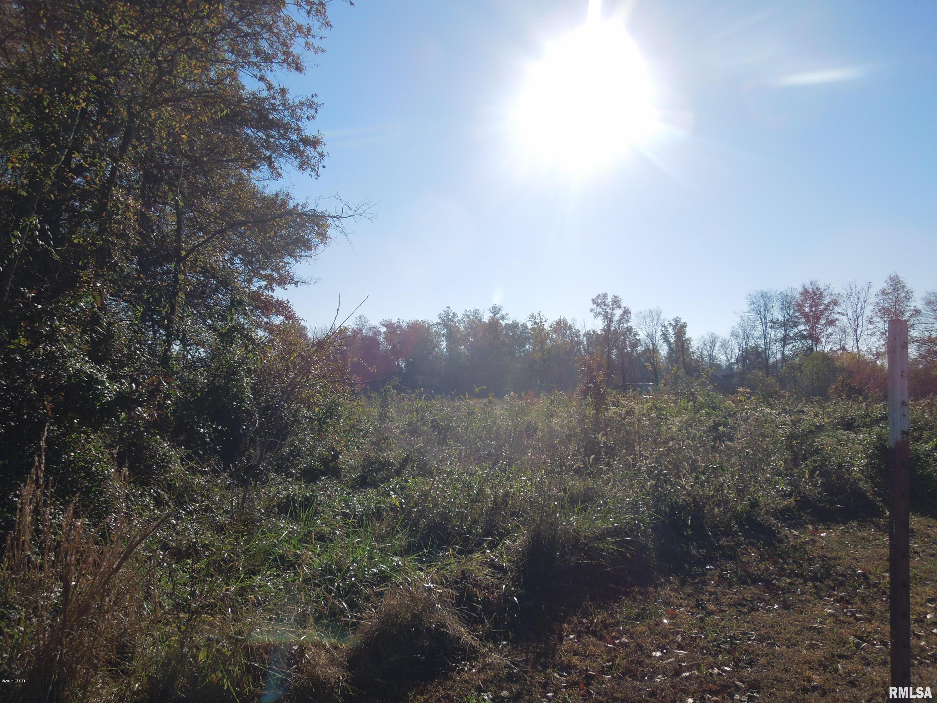 Tbd Strawberry Road Carbondale, IL 62901 - Photo 6 of 7