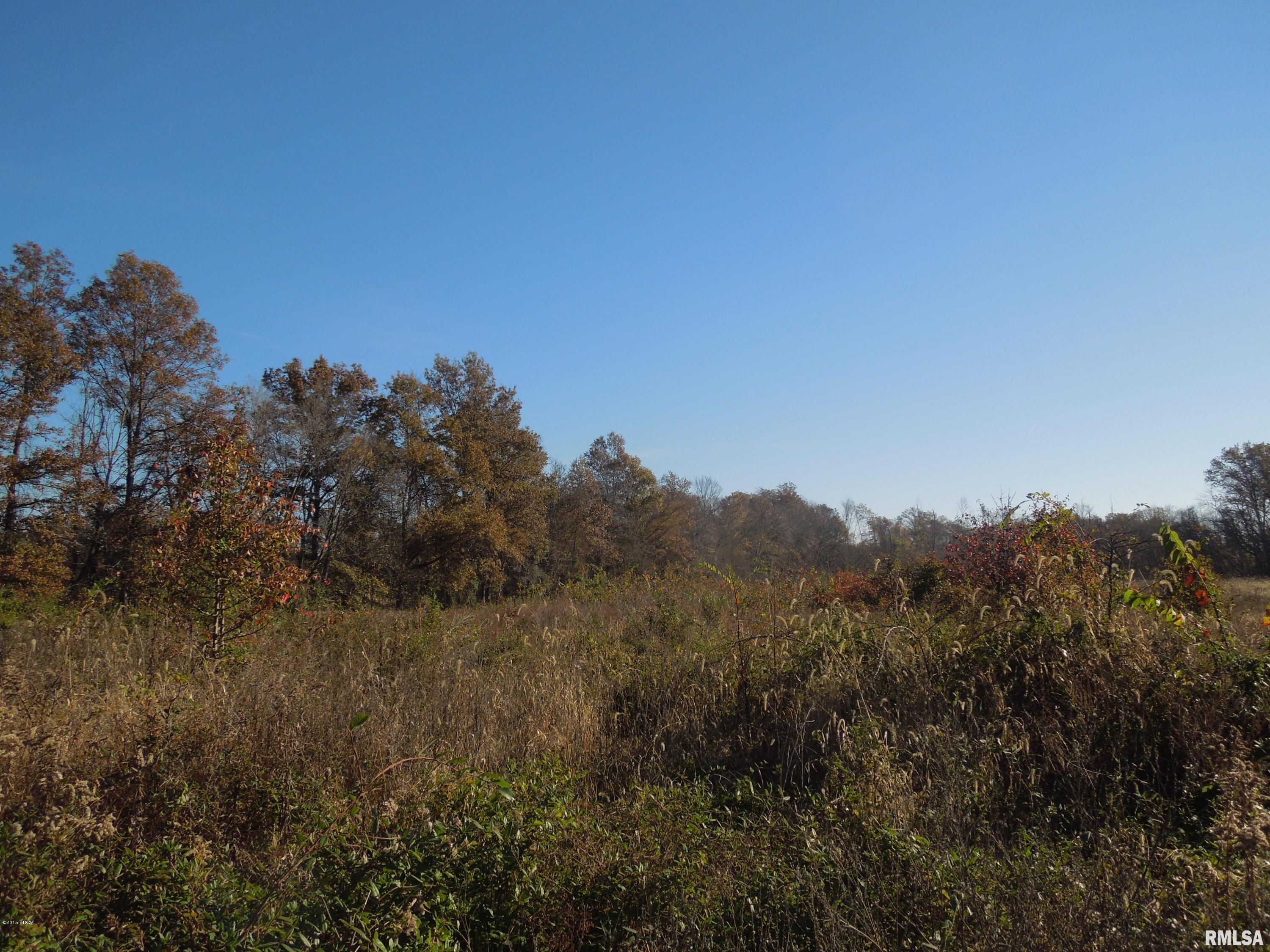 Tbd Strawberry Road Carbondale, IL 62901 - Photo 7 of 7