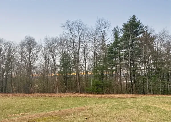 a view of a tennis ground with trees in the background