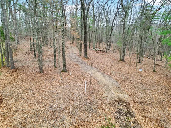 a view of outdoor space with trees