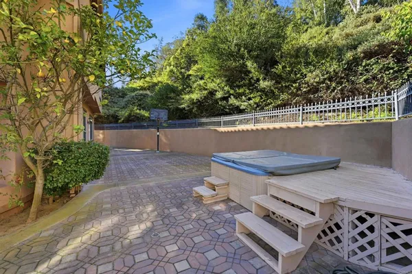 a view of a backyard with plants and trees