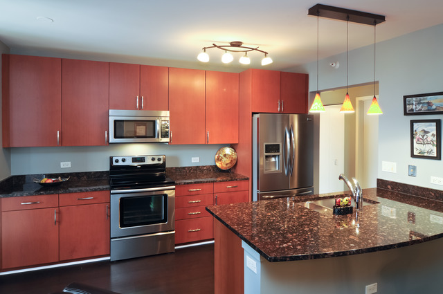 807 Davis Street, Unit 1209 Evanston, IL 60201 - Photo 3 of 17