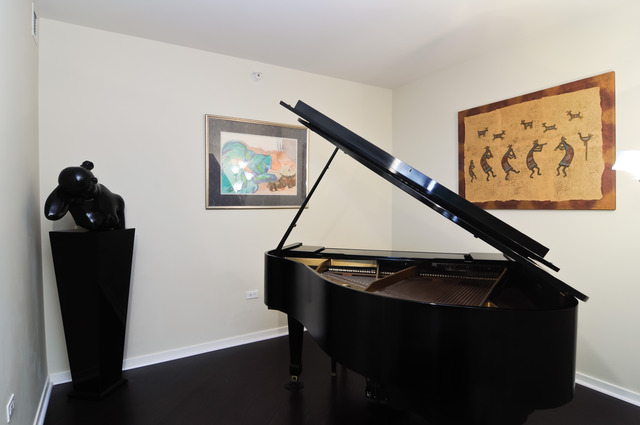 807 Davis Street, Unit 1209 Evanston, IL 60201 - Photo 5 of 17