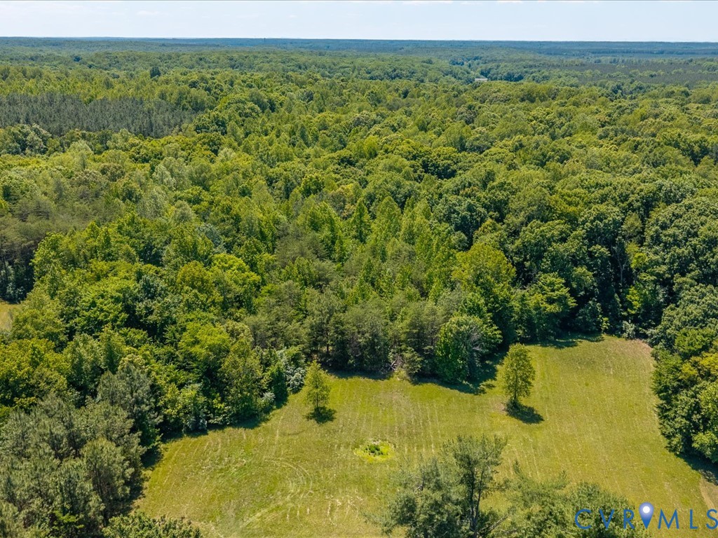 0 Bell Road Powhatan, VA 23139 - Photo 14 of 21