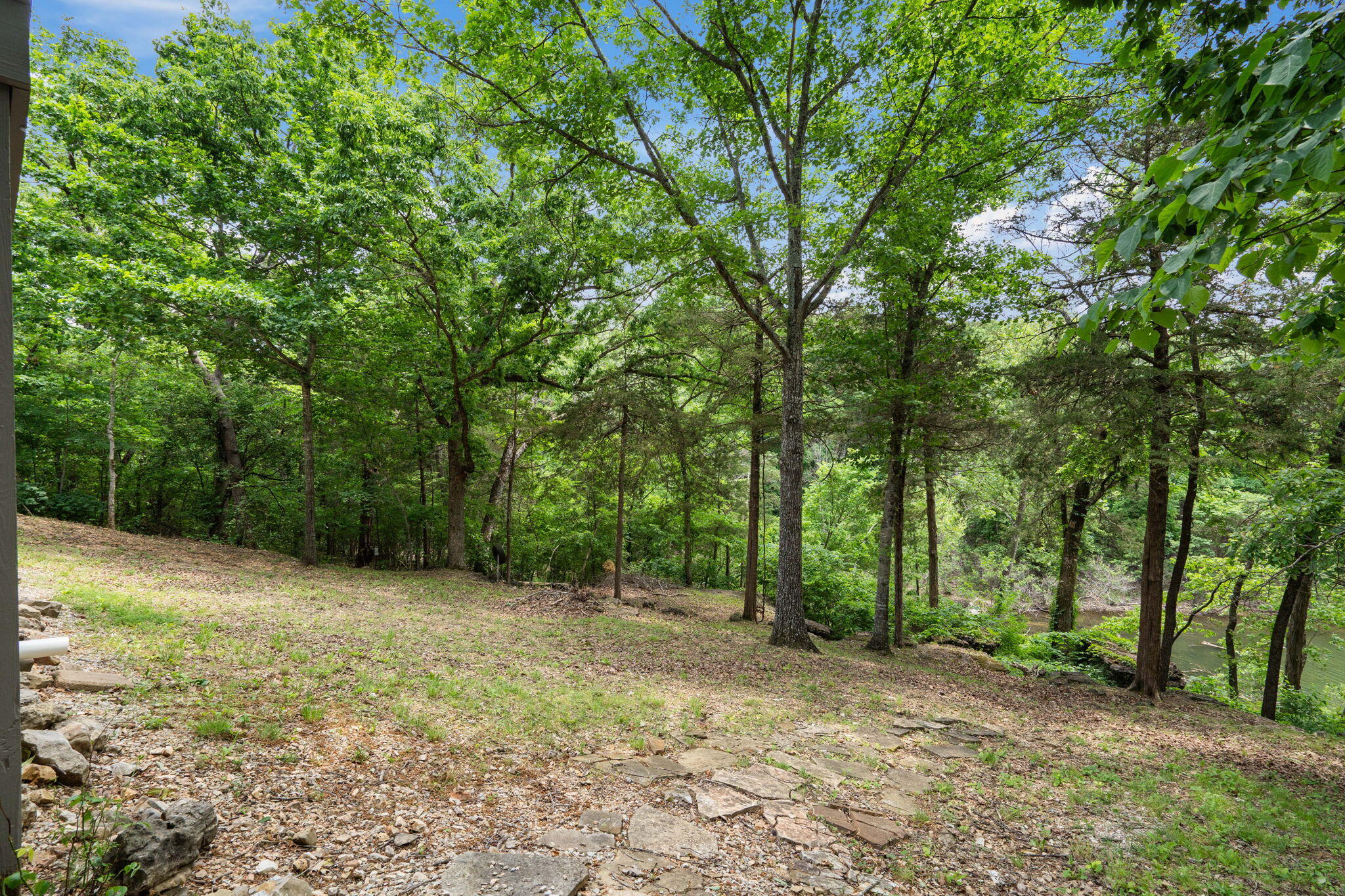 27278 Timber Springs Road Shell Knob, MO 65747 - Photo 15 of 43 31-web-or-mls-DSC01584