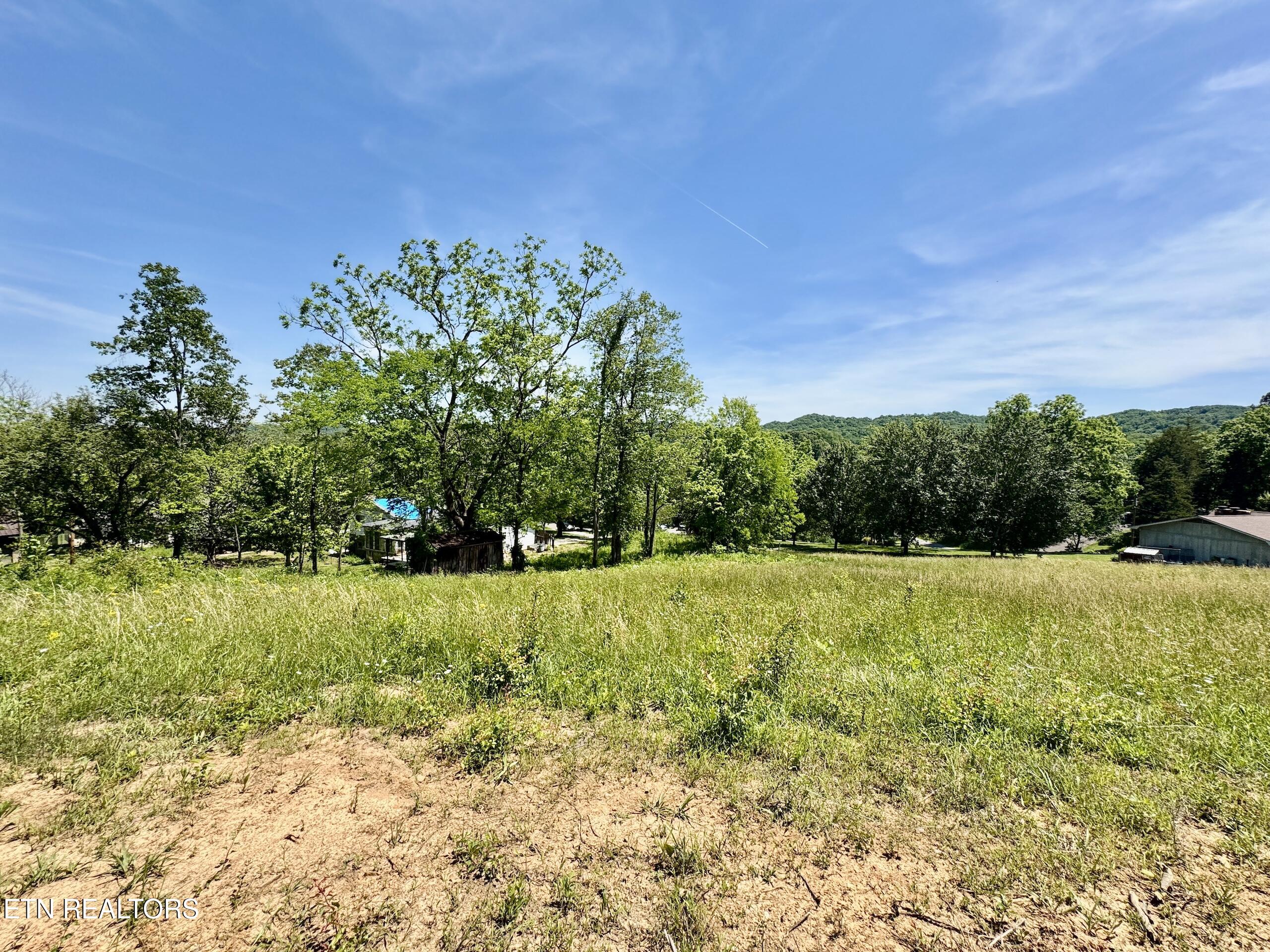 Ridgeview Drive Clinton, TN 37716 - Photo 3 of 15 2-3