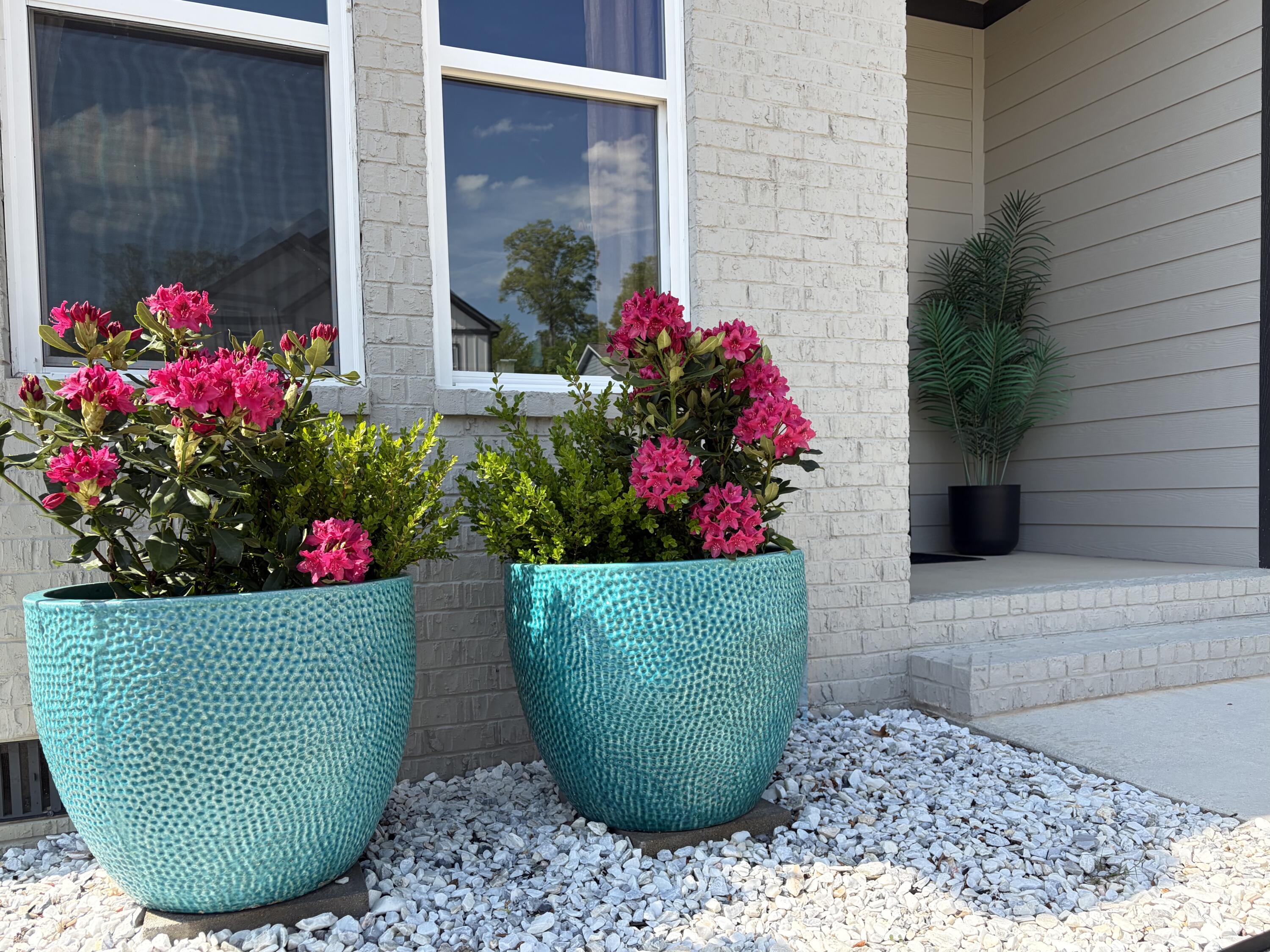 8369 Snowdrop Way Ooltewah, TN 37363 - Photo 3 of 32 Pops of Color