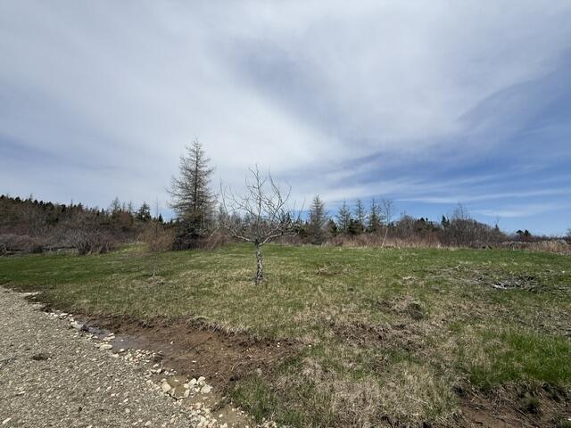 Lot 3 Holmes Bay Farms Road Whiting, ME 04691 - Photo 1 of 14 IMG_9102 (1)