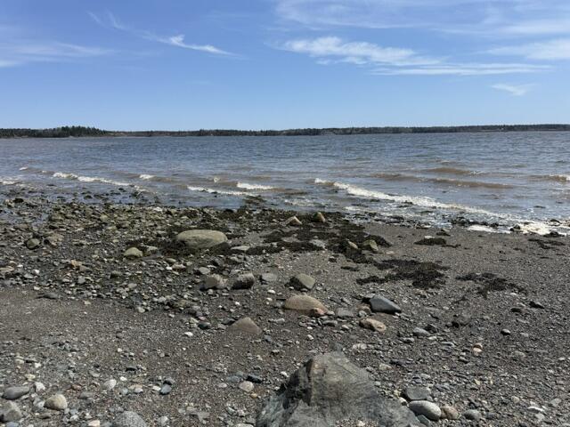 Lot 3 Holmes Bay Farms Road Whiting, ME 04691 - Photo 13 of 14 IMG_9082 (2)